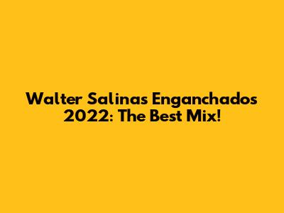 Walter Salinas Enganchados 2022: The Best Mix!