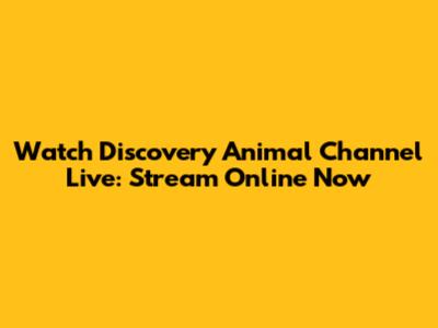 Watch Discovery Animal Channel Live: Stream Online Now