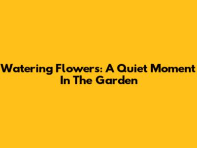 Watering Flowers: A Quiet Moment In The Garden