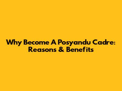 Why Become A Posyandu Cadre: Reasons & Benefits