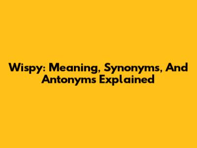Wispy: Meaning, Synonyms, And Antonyms Explained