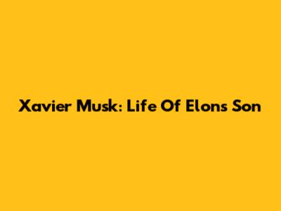 Xavier Musk: Life Of Elon's Son