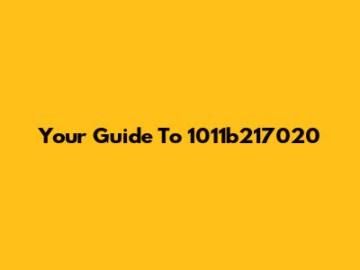 Your Guide To 1011b217020