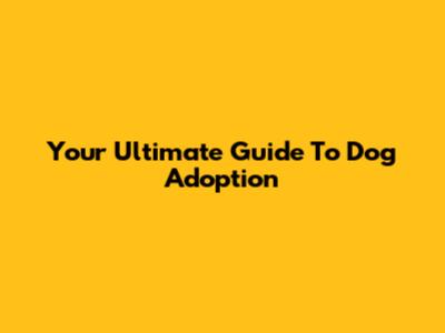 Your Ultimate Guide To Dog Adoption